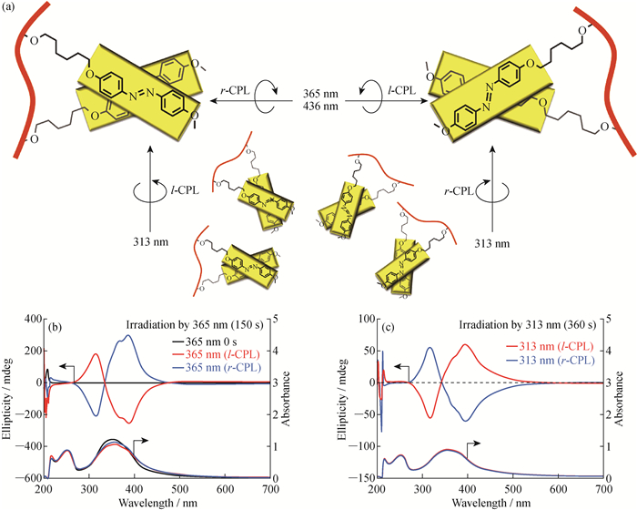 Research Advance in Photoinduced Chirality of Achiral Polymers