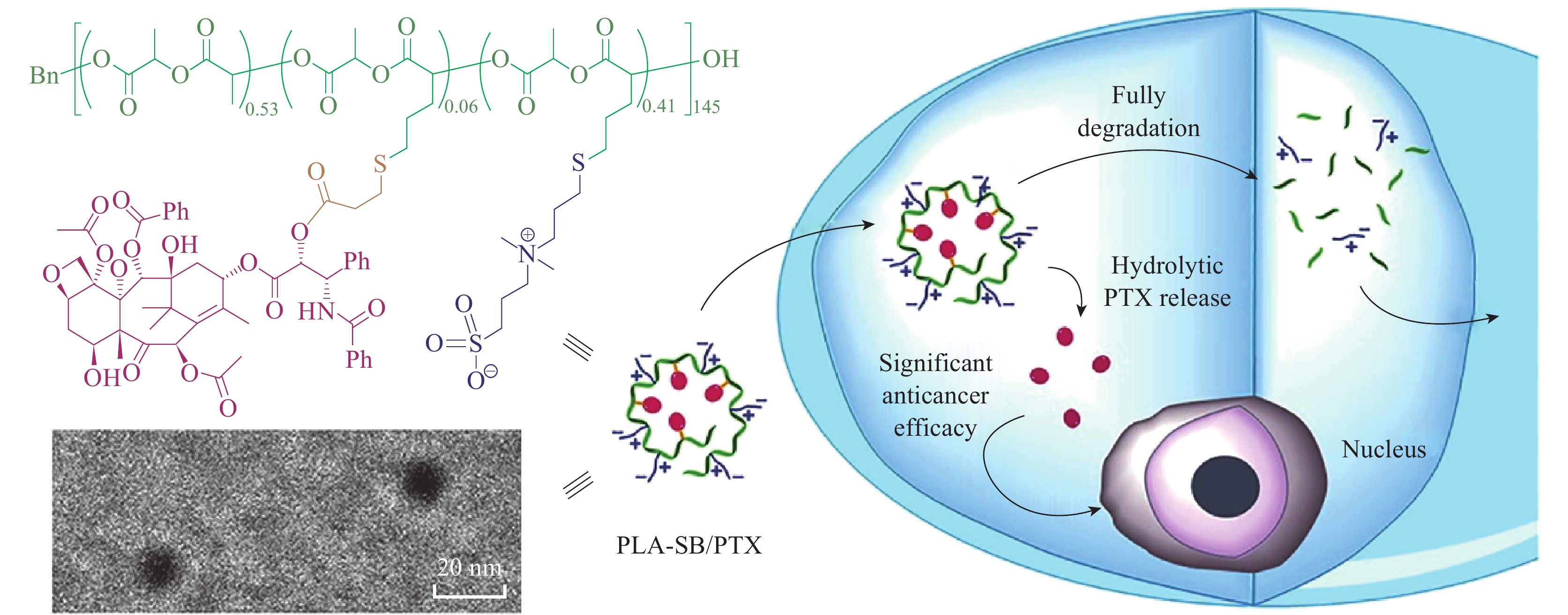 两性离子聚合物的研究进展