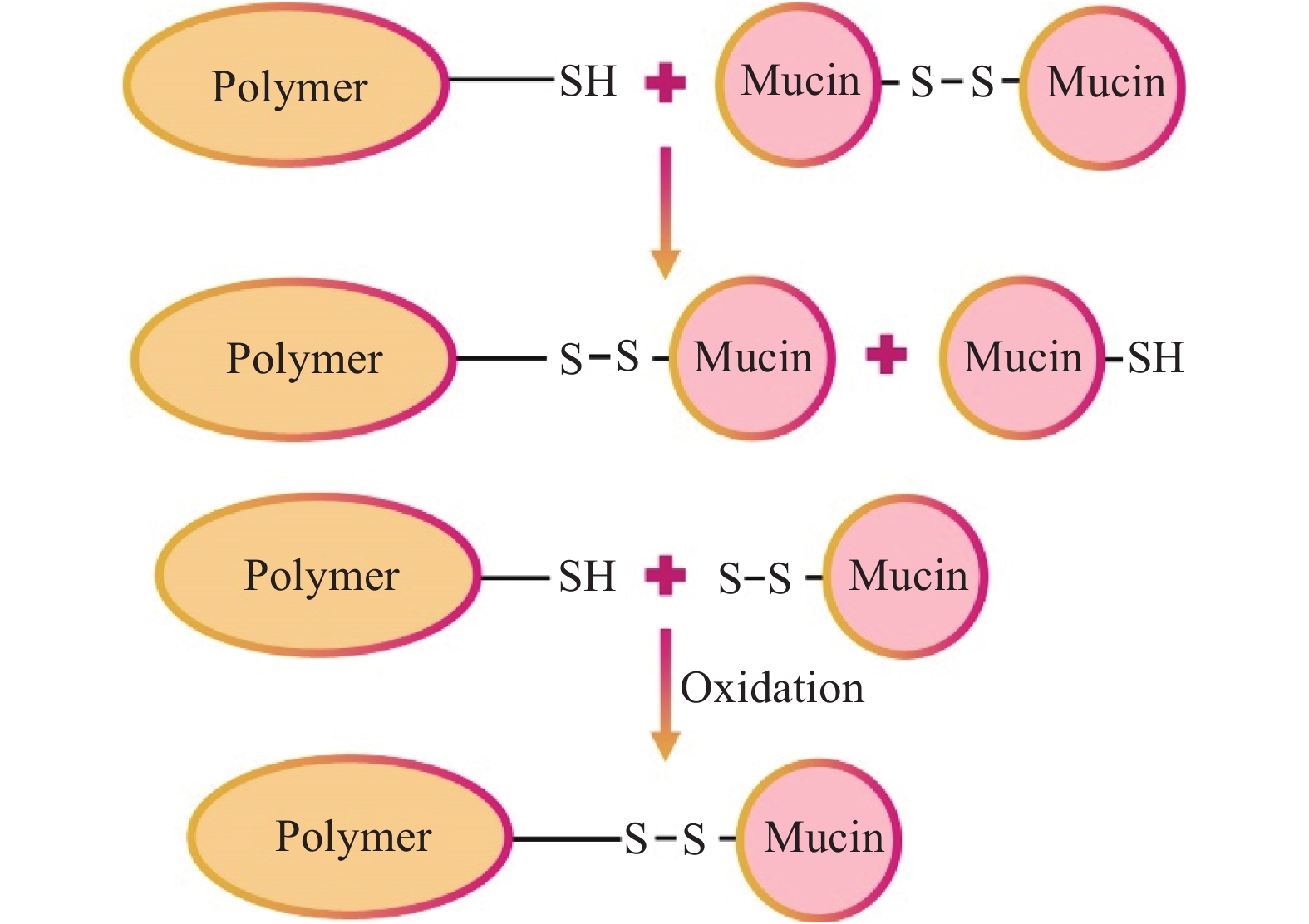 生物黏合水凝胶研究进展