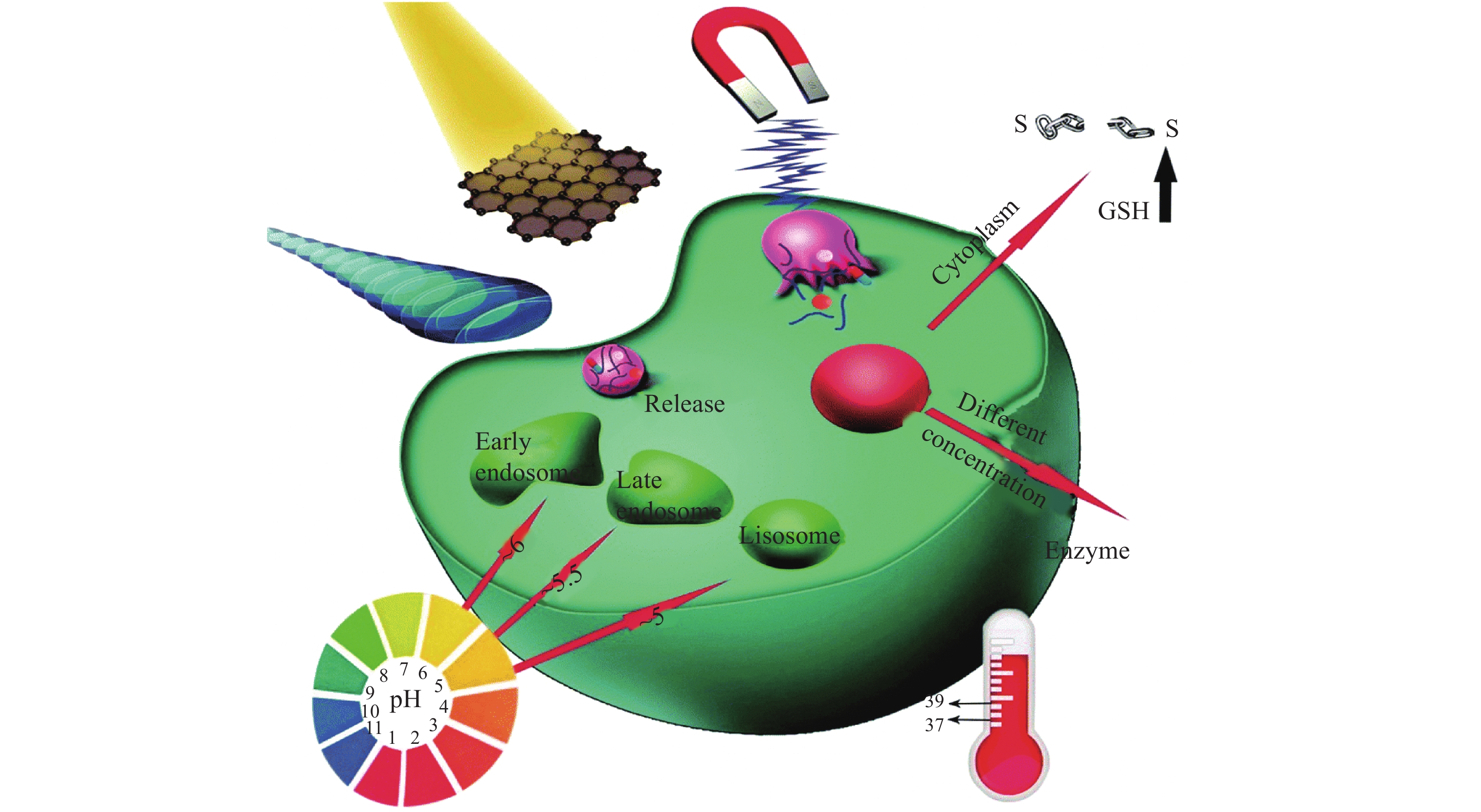 朱益锐, 蔡志祥, 郭亚龙, 张洪斌.