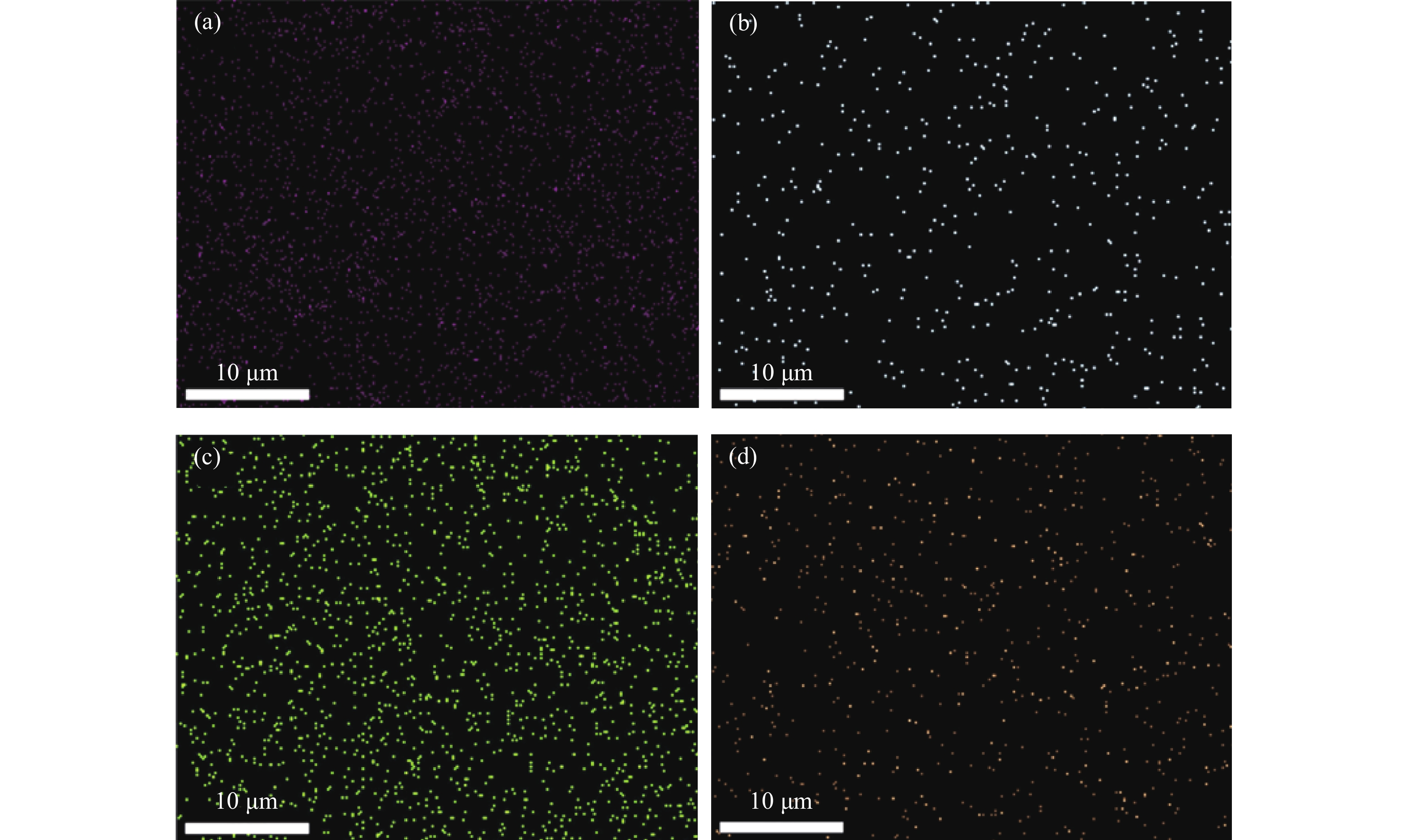 Electrochemical Immunosensor Based on Gold Nanoparticles/Polypyrrole