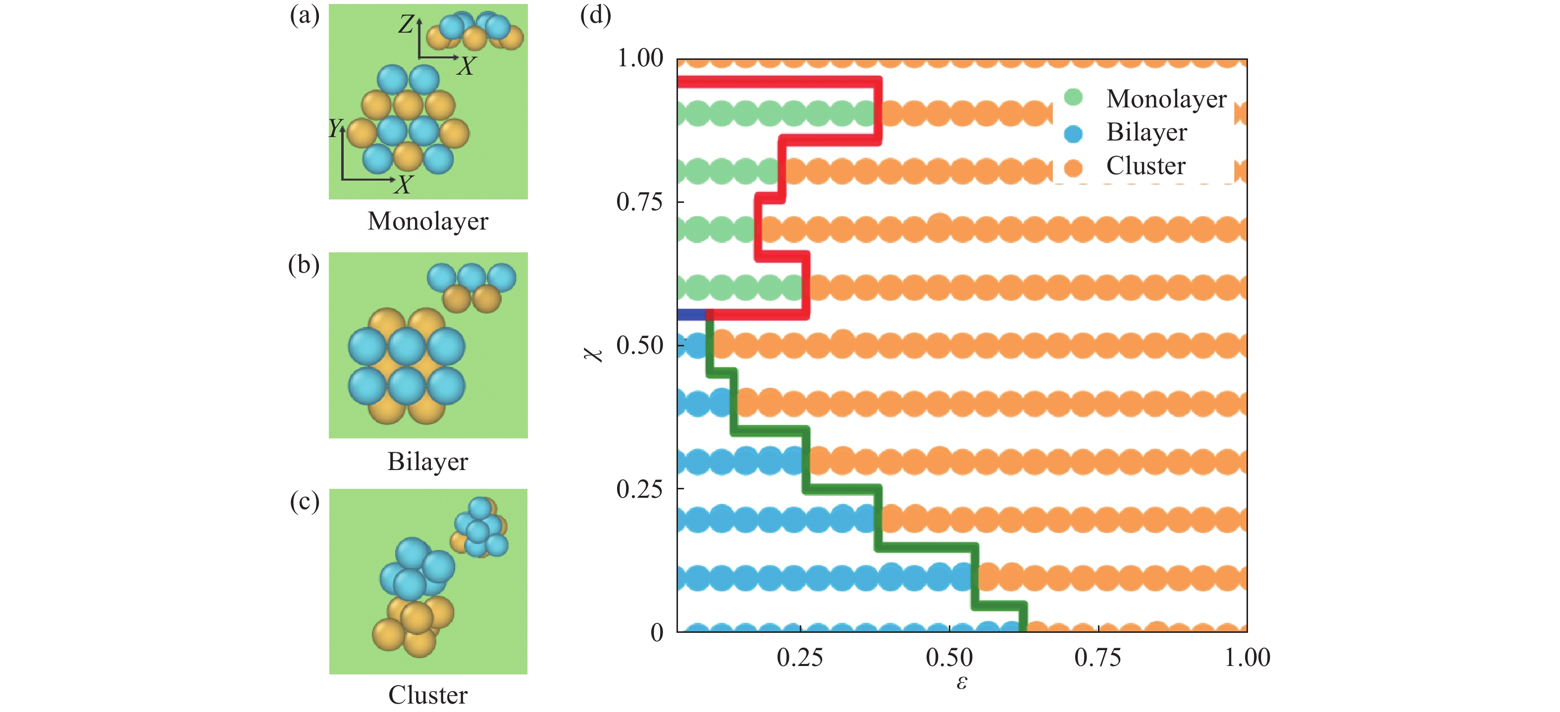 a～c）界面自组装结构的俯视图（X-Y）和侧视图（X-Z）：（a）单层、（b）双层和（c）团簇结构；（d）在ε-χ参数空间中，界面自组装结构的相图（实心圆代表Monte  Carlo模拟数据点，曲线表示相边界）